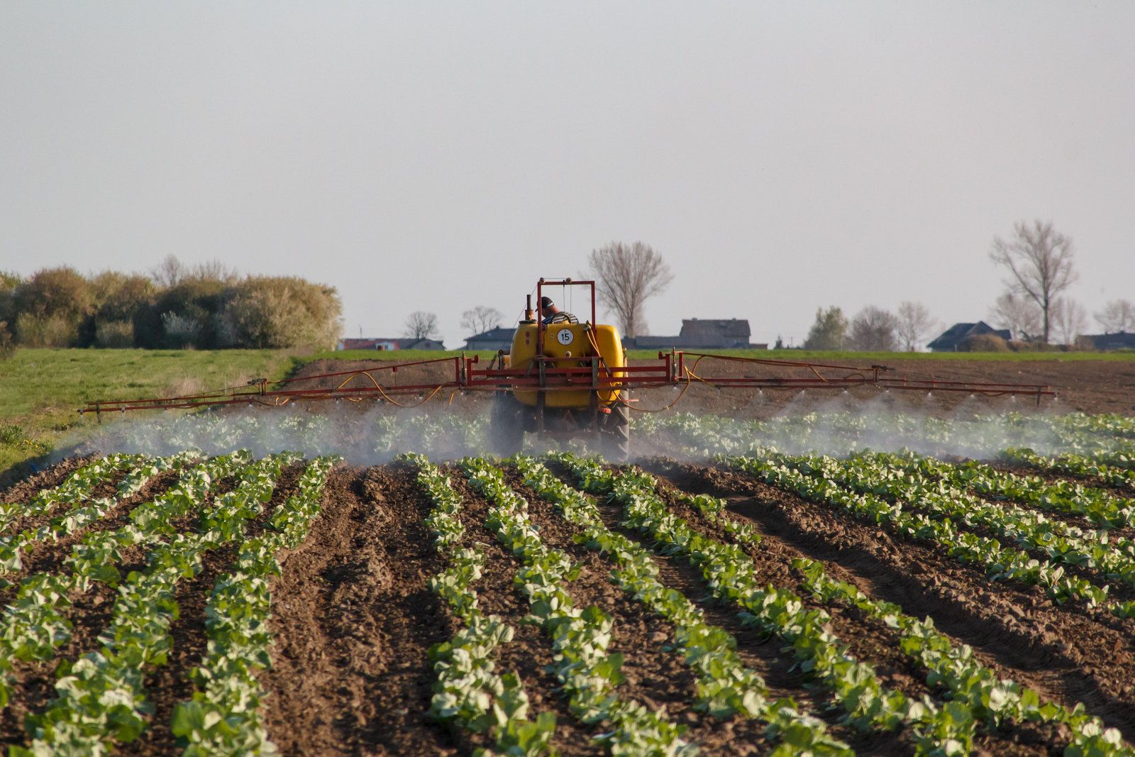 Fertiliser being applied to a field